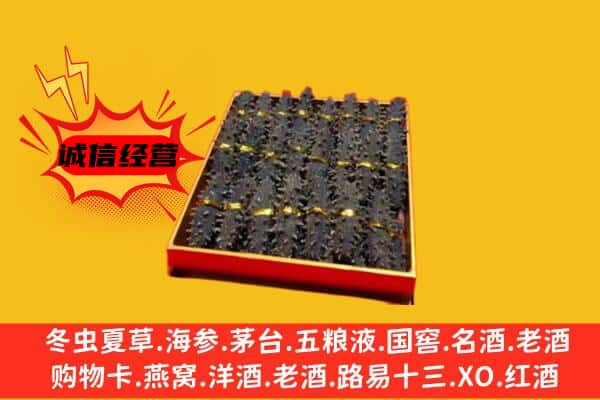 河池市东兰回收海参